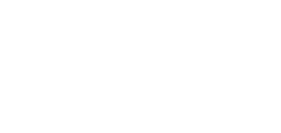 VizzarJobs